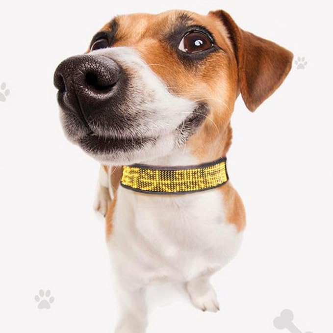 Glow Collar for Dogs, Led and Collared, Rechargeable Led Collar for Providing High Visibility During Nighttime Walks (Yellow)