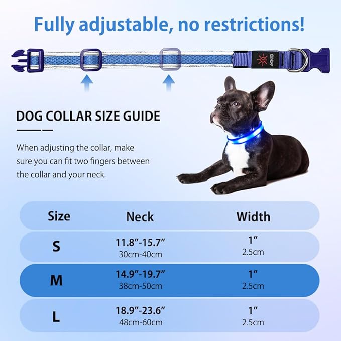 Illumifun LED Dog Collar, USB Rechargeable Light Up Dog Collar, Reflective Sfety Collar Light Glow in The Dark (Medium, Light Blue)