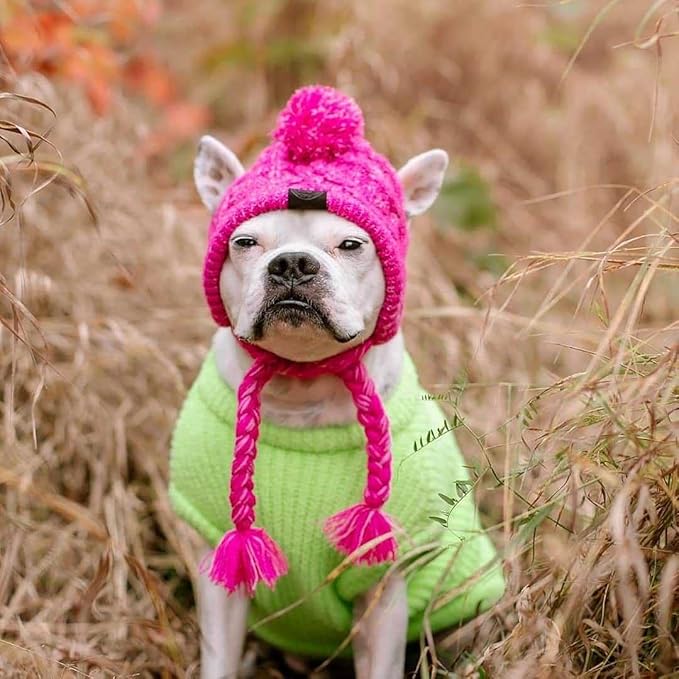 Winter Dog Hat,Knitting Wool Cap,Warm Pet Head Wear with Long Braid Puppy’s Head Accessorie (Purple M)