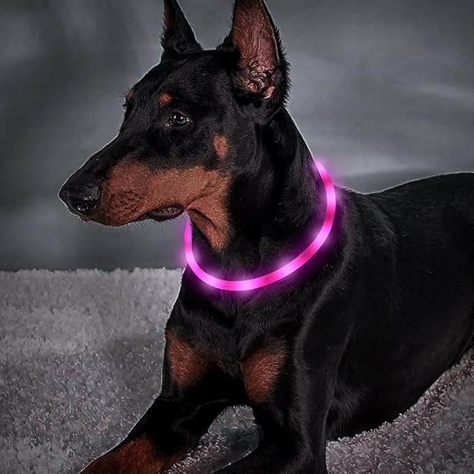 BSEEN Light Up Dog Collar, Silicone LED Pet Collar Rechargeable Glowing Puppy Necklace Safety Dog Lights for Night Walking (Pink)