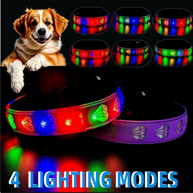 LED Dog Collar with Diamond Pattern, 15 Light Modes, with Bonus Pet ID Tag and Bell (Purple Pro, S(7.87-11.8"))