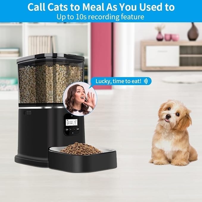Dispenser Automatic Feeders6L Programmable FeederStainless Steel Bowl Pet Feeder for s and Dog Timed Food DispenserAuto Feederw/Voice RecorderDetachable Hopper cat Fountain