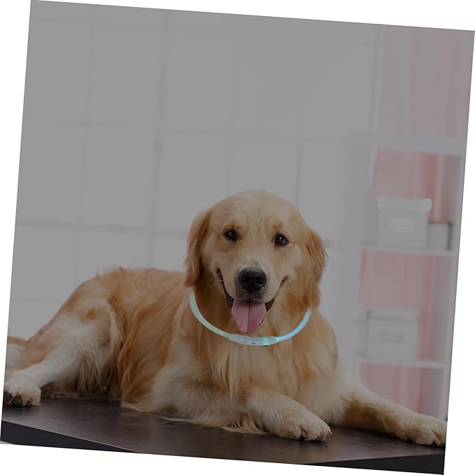 Led Rechargeable Dog Collar USB Charging Glowing Pet Accessory for Dogs and Puppies for and Festive Occasions