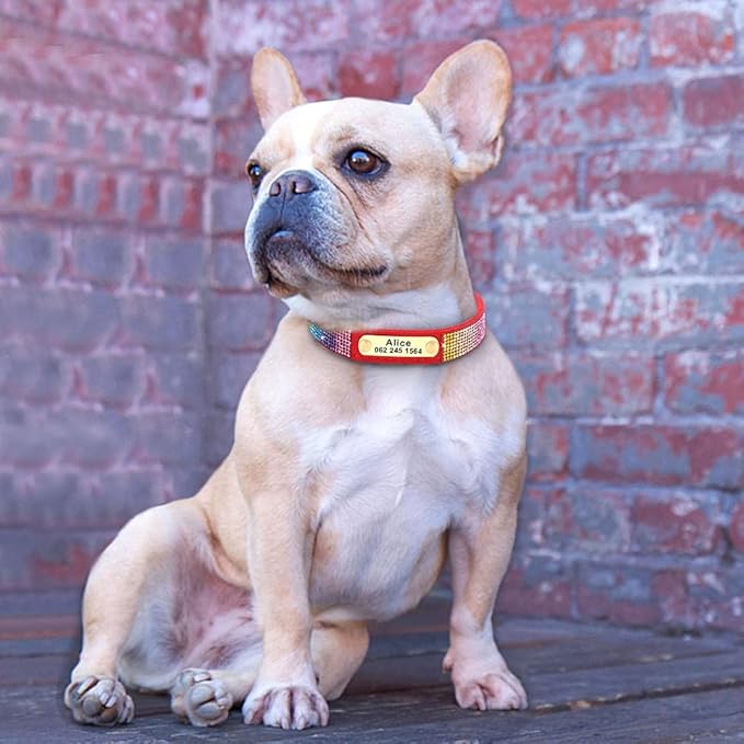 Custom Crystal Dog Collar Soft Leather Pet ID Collar Personalized Rhinestone Collars Adjustable for Small Medium Large Dogs Cat Red XS