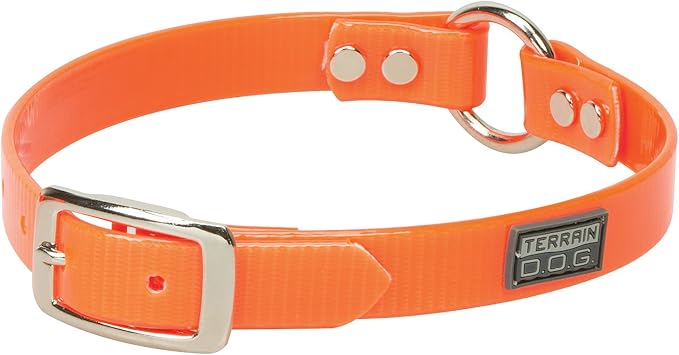 Terrain D.O.G. Brahma Webb Clear Coat Dog Collar