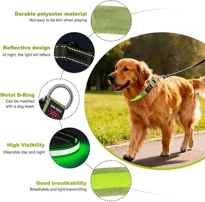 LED Dog Collar, Light Up Dog Collar Adjustable USB Rechargeable High Visibility Dog Light Glowing Pet Collars for Small Medium Large Dogs (Green, M)