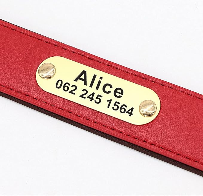 Rhinestone Custom Dog Collars Leather Personalized Crystal Pet Collar Padded Collars Adjustable for Small Medium Large Dogs Red XXL