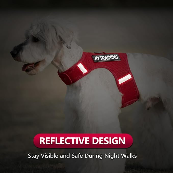 Dog Harness for Puppy – Adjustable Reflective Easy Put On Soft Mesh Vest for Small Dogs with 2 Patches (Burgundy Red,XXXS)
