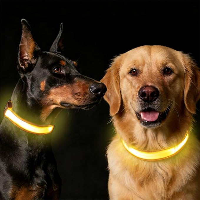COMMIXCN 2 Pack LED Dog Collar, Light Up Reflective Collar for Small Medium Large Dogs, Universal Use with Standard Buckle, Adjustable for Night Walking Hiking Camping Outdoor (Yellow)