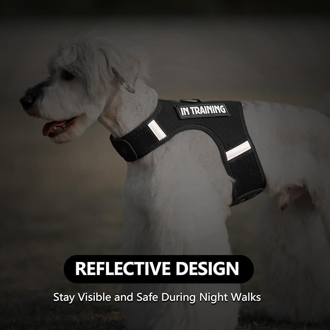 Dog Harness for Puppy – Adjustable Reflective Easy Put On Soft Mesh Vest for Small Dogs with 2 Patches (Black,XXXS)