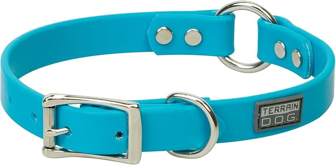 Terrain D.O.G. Brahma Webb Hunting Dog Collar