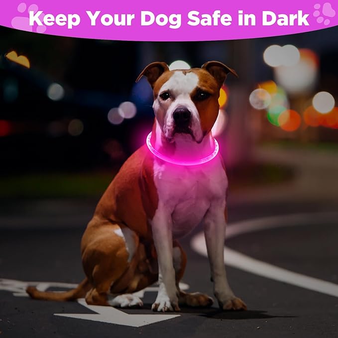 Higo 2 Pack Light Up Dog Collar, USB Rechargeable, Led Lighted, Glow in Dark, Fits Small, Medium, Large Dogs (Pink+Blue)