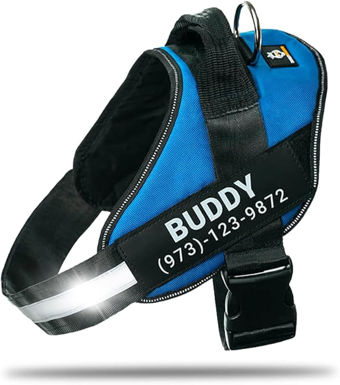 Personalized No-Pull Dog Harness with Name Patch, Adjustable, Reflective, Padded, Heavy Duty Pet Vest to Prevent Tugging, Pulling, or Choking, Training and Walking, Blue, M