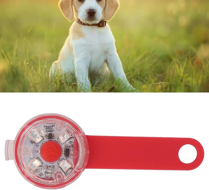 LED Dog Light Pendant USB Rechargeable Safe Collar Light for Pet Bag Bike (Red)