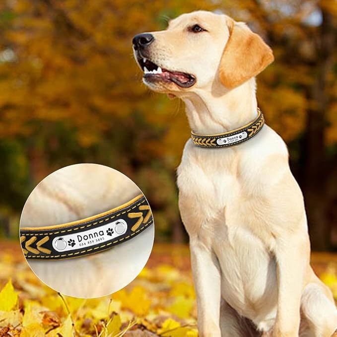 Personalized Dog Collar Customized Dog Collars Padded Pet Collar Name ID Collars for Small Medium Large Dogs Cats Yellow XS