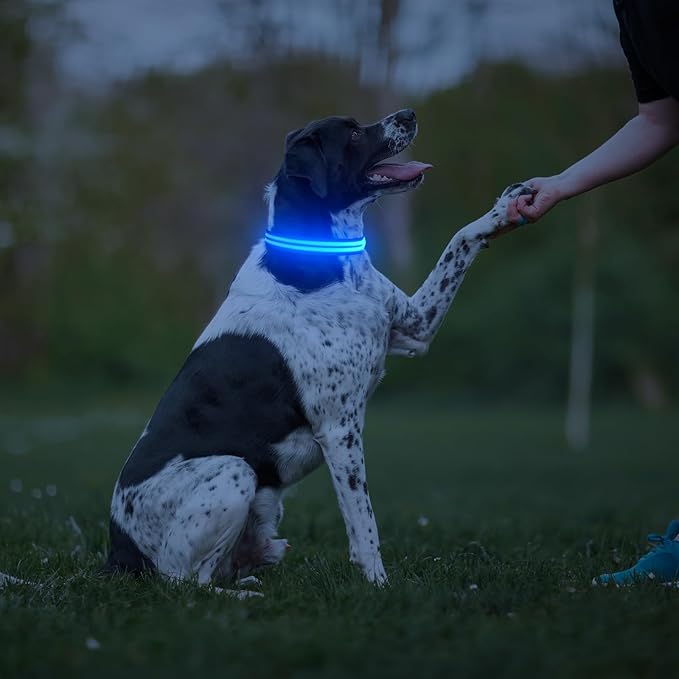 Light Up Dog Collar - Rechargeable LED Dog Collar Light Glow in The Dark Puppy Collar, Dog Camping Gear Adjustable Dog Collars for Small Dogs(Small, Blue)