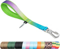 TSPRO Dog Training Leash with Sturdy Metal Buckle, 14 Inches Short Leash for Large Dogs, Comfortable Padded Handle (Rainbow Gradient)