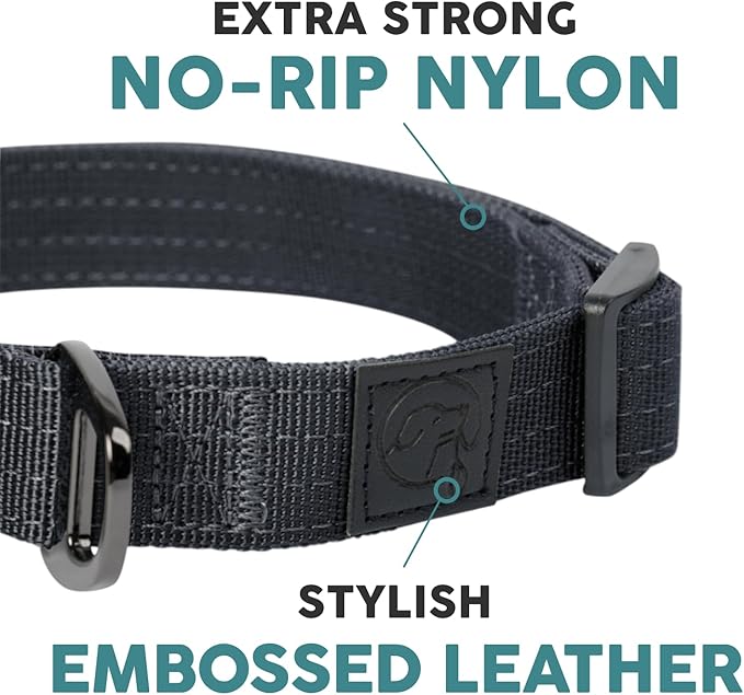 Embark Adventure Pro Dog Collar – Heavy Duty Tactical Dog Collar Stylish & Durable Nylon Dog Collar for Large Dogs, Small Dogs & Medium Dogs. Strong Buckles for Any Size Breed (Small, Black)