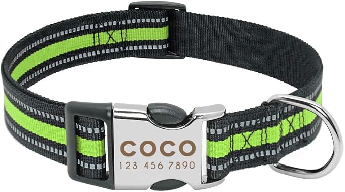 Custom Pet Dog Collar Leash Reflective Nylon Small Dog Puppy Collars Personalized Pitbull Medium Large Dog Collar Engrave Name Green S