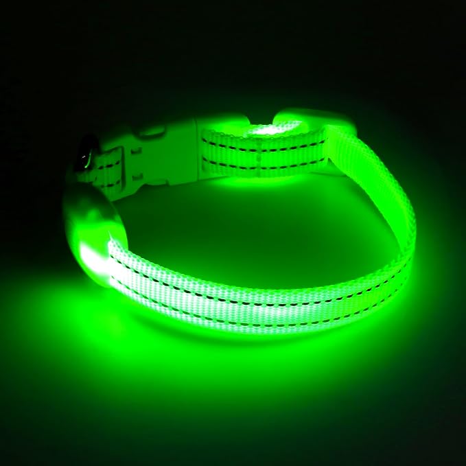 Light up Dog Collar for Small Dog,Vizpet XS Adjustable Size Nylon Collar USB Rechargeable Bright Safety Pet Collar for Cats Dogs (Green)
