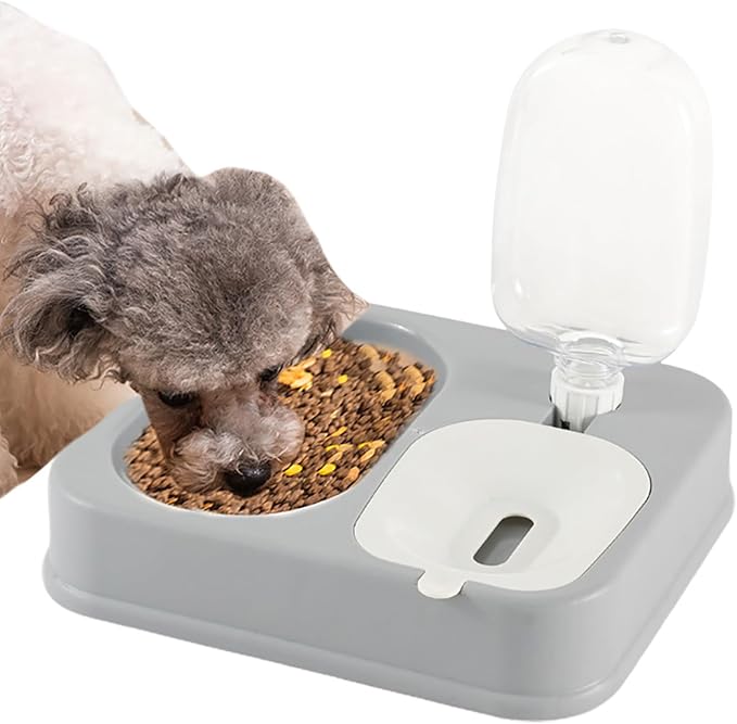 Indoor Dogs Double Feeding Bowls and Automatic Water Dispenser Pet Eating Drinking Pet Dogs Bowls Multi-Color Can Choose