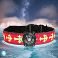 Personalized USB-C led Light up Dog Collar with Airtag Holder, IP68 Waterproof,15 Modes Changing Multicolored Lighting (Pink, L(15.7-19.7"))