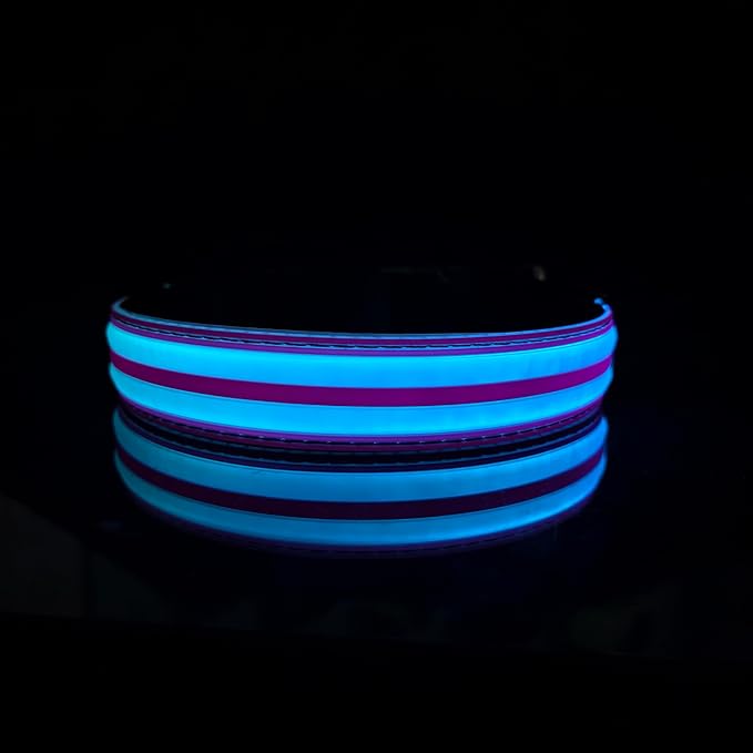 Dog Collar with Lights, 15 Lighting Modes Silicone Pet Collar, USB C Rechargeable LED Dog Collar for Night Safety, Adjustable Soft Glowing Collar for Dogs (DB-Pink, XS(7.87-11.8"))