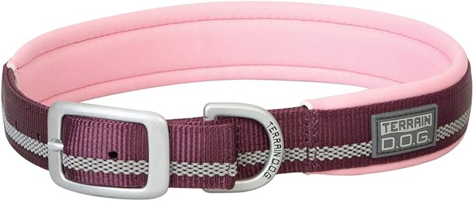 Terrain D.O.G. Reflective Neoprene Lined Dog Collar