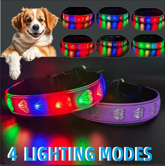 Customlized USB-C led Light up Night Walking Dog Collar with Waterproof airtag Holder, 4 Modes Running Flashing Light (Purple, M(11.8-15.7"))