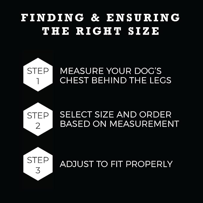 Wolfgang Heavy Duty Adjustable Dog Harness, Pull-Tested to Over 800 lbs for Walking & Training, SunsetPalms Print, Large