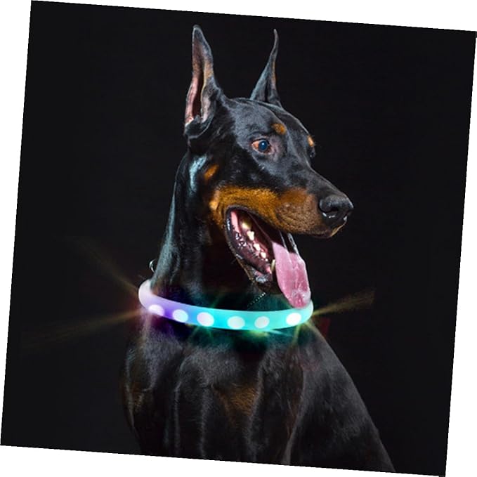 TOYANDONA LED Dog Collar USB Rechargeable Waterproof Pet Collar Glowing Safety Light for Night Walking