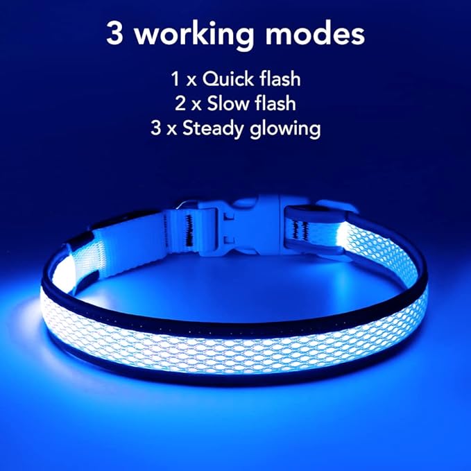 BSEEN Light Up Dog Collar - Reflective LED Dog Collar Rechargeable, Glowing Pet Collars, Adjustable Doggie Lights for Night Walking (Medium Collar, Royal Blue)