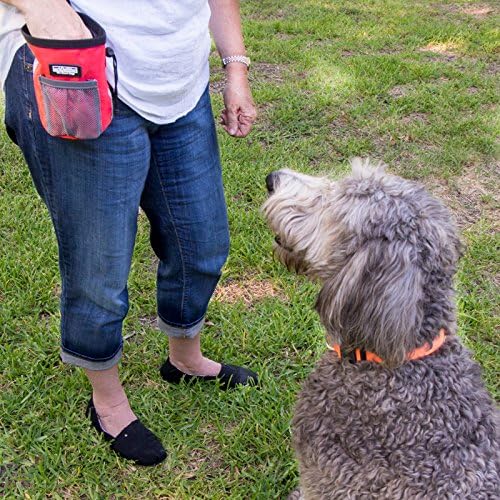 Reward Treat Pouch - Orange