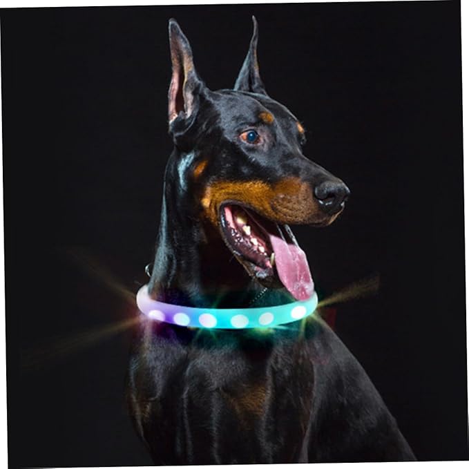 USB Charging LED Dog Collar Luminous Pet Collar Glowing Night Walking Safety Light Adjustable White