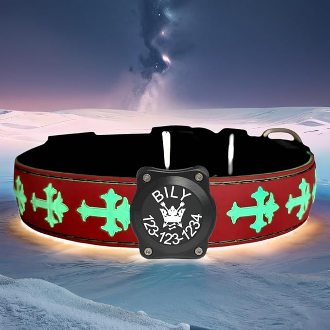 Personalized USB-C led Light up Dog Collar with Airtag Holder, IP68 Waterproof,15 Modes Changing Multicolored Lighting (RED, L(15.7-19.7"))