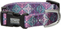Terrain D.O.G. - Climbing-Grade Tubular Webbing - Premium Patterned Snap-N-Go Adjustable Dog Collar