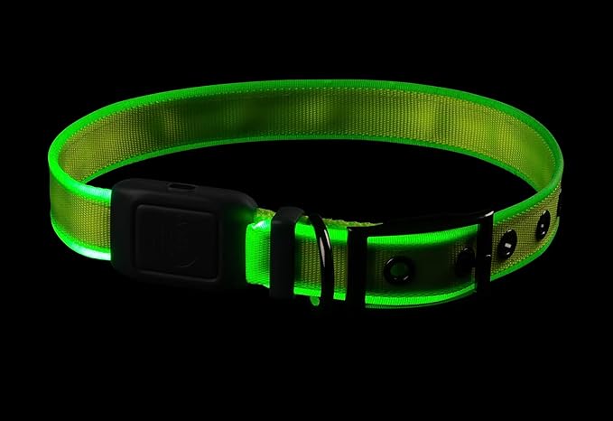 LED Rechargeable Dog Collar - Medium