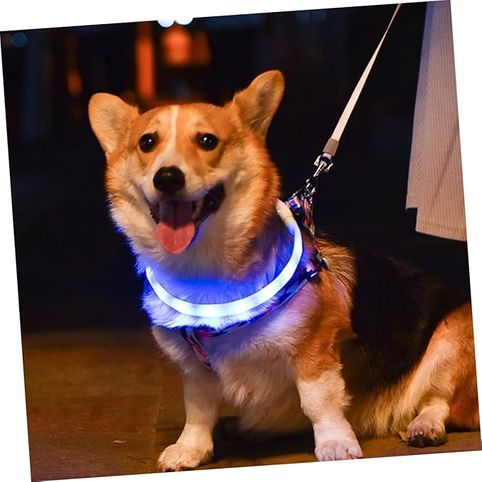 GALPADA 1set USB Rechargeable Pet Collar Led Dog Collar for Night Safety Comfortable Fit for Evening Walks and Visibility