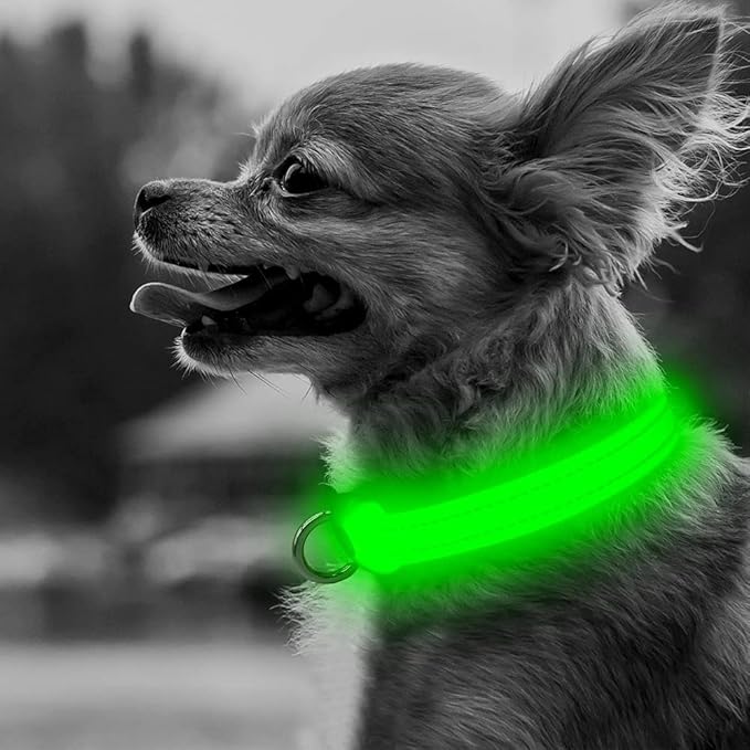 BSEEN Adjustable LED Dog & Cat Collar - Rechargeable, Small Breeds, Green, 8.5-11.8 inches, Nylon, Lightweight, Reflective, 2 Flash Modes