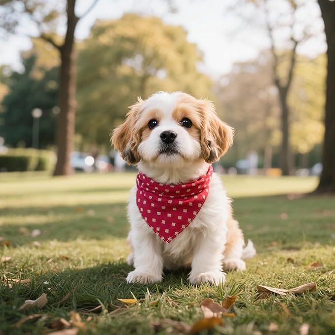 Double Layers Two Tones Dog Cotton Square Bandana Bibs Scarf Kerchief for Small Medium Dogs Boy or Girl - DCB07 R&B