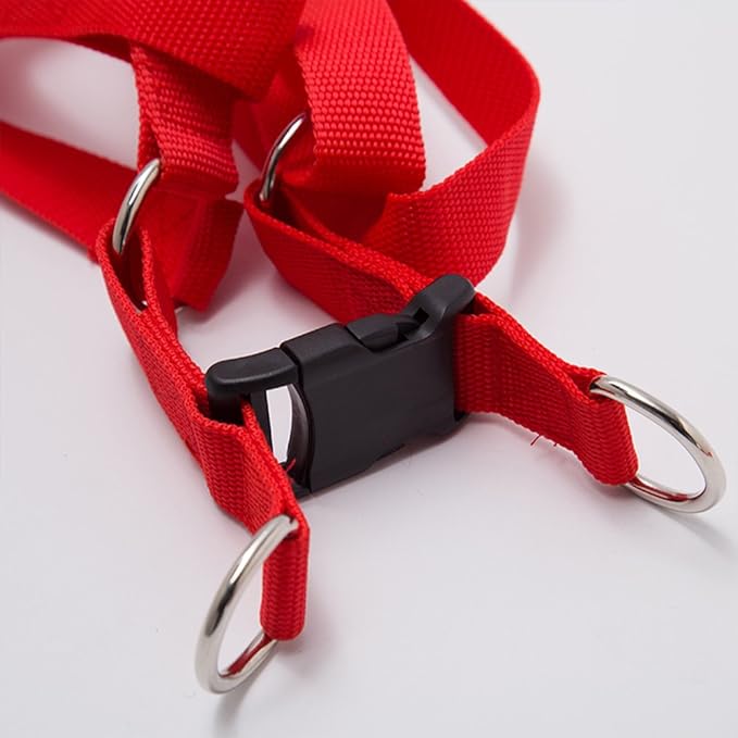 Durable Nylon Braided Dog Leash Dog Harness Dog Collar No Pulling Adjustable Harness Soft Padded Collar for Small Dog/Puppy/Cat