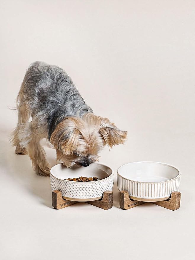 LE TAUCI PET Dog and Cat Bowl Set with Acacia Wood Stand - 2 Cup Ceramic Puppy Bowls for Cats &Small Dogs, Dual Food and Water Bowls with Weighted Non-Slip Base, Lines+Dot