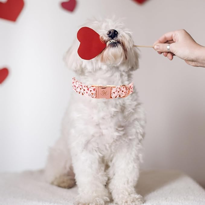 Elegant little tail Valentine's Dog Collar, Pink Heart Dog Collars Cute Girl or Boy Puppy Gift Adjustable Pet Collar for Small Dogs