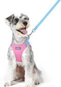 rabbitgoo Dog Harness Small Medium Sized and Leash Set, Step in Soft Light Puppy Vest, Breathable Mesh Pet Harness, Reflective for Safe Easy Walking, Blue & Light Pink XL