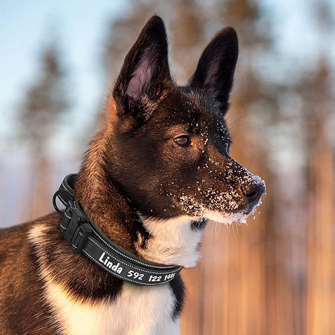 Personalized Large Dog Collar Military Tactical Dog Collar Custom Reflective Pet Collars for Medium Large Dogs German Shepard Black XL