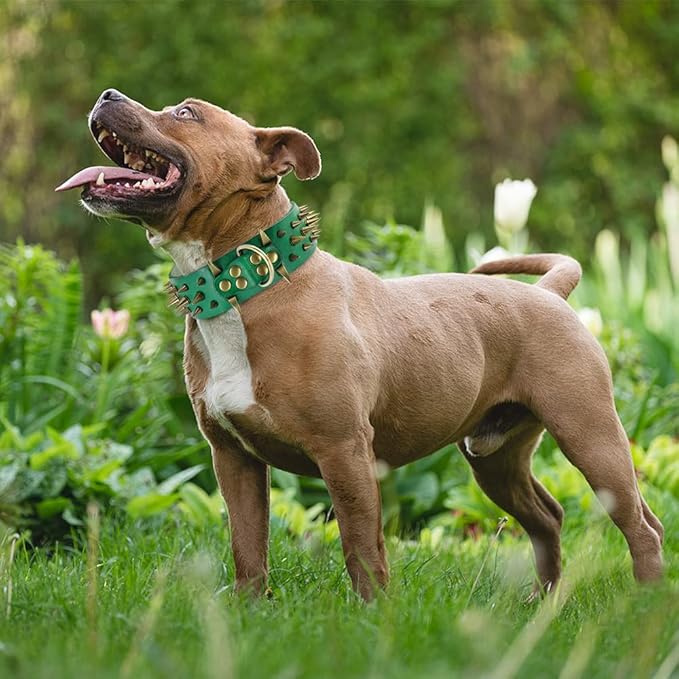 Spiked Studded Leather Dog Collars Wide Sharp Pitbull Big Dog Collar Adjustable for Medium Large Dogs Boxer Bulldog Red L XL Green XL