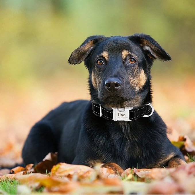 Dog Collar Personalized Reflective Large Dog Collars Nylon Adjustable Costomized Collar for Small Medium Big Dogs Pet Pitbull Black L