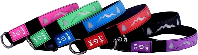 USB-C led Light up Dog Collar, 3D Design Comfortable and Soft Material,Multicolored Lighting，Night Dog Collar (TR, M(15.7-19.7"))