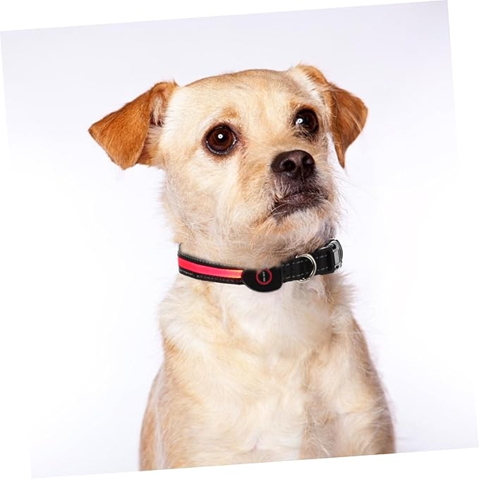Rechargeable USB Glowing Dog Collar Flashing LED Lights 50CM for Nighttime Visibility for Golden Retriever and Bichon Frise