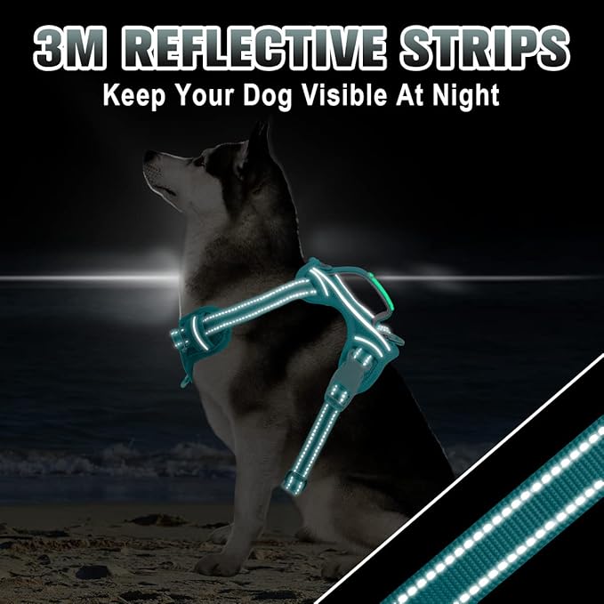 BARKBAY No Pull Dog Harness Large Reflective Dog Harness with Front Clip and Easy Control Handle for Walking Training Running with ID tag Pocket(Ocean Blue,S)